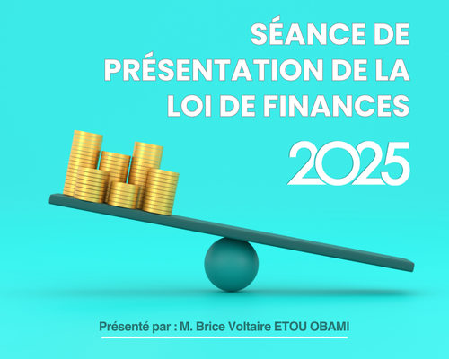 présentation de la loi de finances 2025